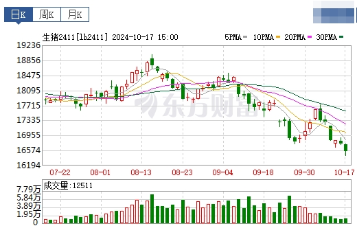 今日猪价 | 2024.10.18 猪价行情——涨跌互现