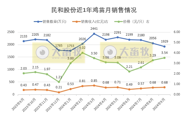 益生、民和和晓鸣2024年9月鸡苗销售情况