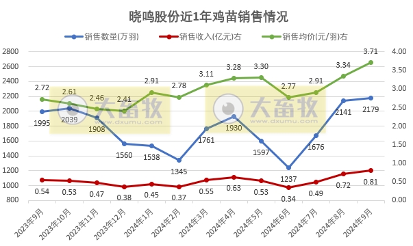 益生、民和和晓鸣2024年9月鸡苗销售情况