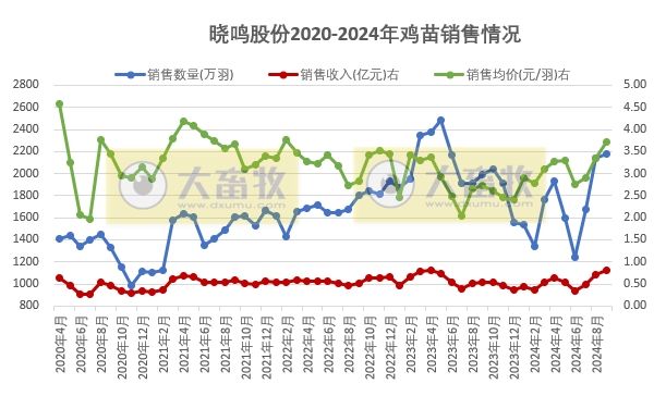 益生、民和和晓鸣2024年9月鸡苗销售情况