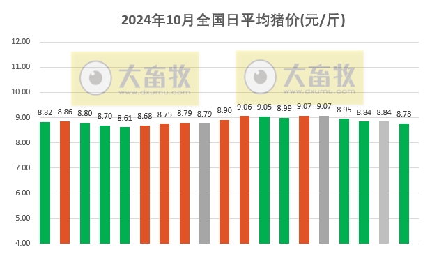 今日猪价 | 2024.10.19 猪价行情——大多数下跌