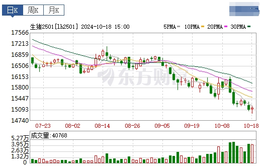 今日猪价 | 2024.10.19 猪价行情——大多数下跌