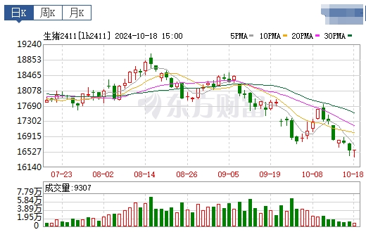 今日猪价 | 2024.10.19 猪价行情——大多数下跌
