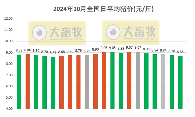 今日猪价 | 2024.10.20 猪价行情——一路飘绿