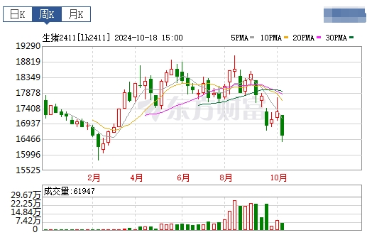 今日猪价 | 2024.10.20 猪价行情——一路飘绿