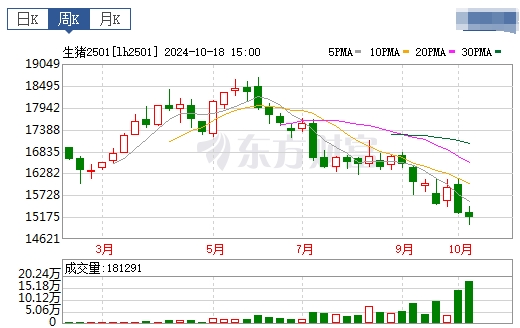 今日猪价 | 2024.10.20 猪价行情——一路飘绿