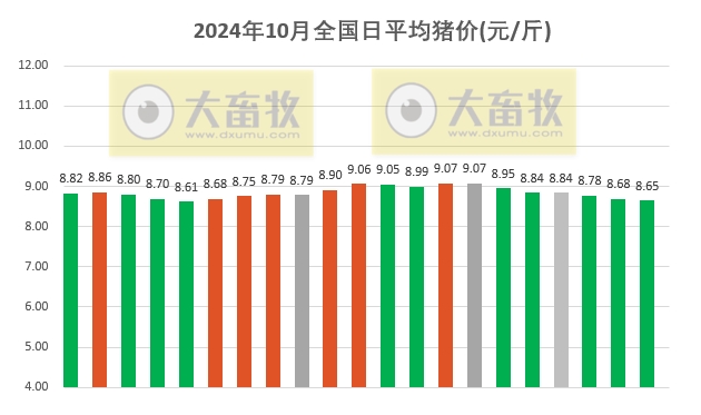 今日猪价 | 2024.10.21 猪价行情——半数止跌