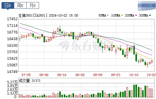 今日猪价 | 2024.10.23 猪价行情——止跌上涨，一路飘红