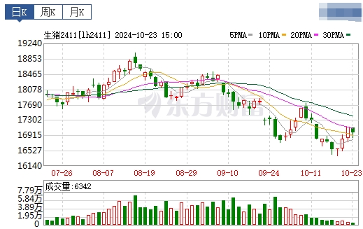 今日猪价 | 2024.10.24 猪价行情——继续一路飘红