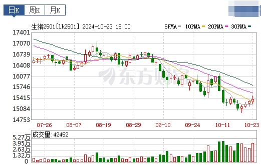 今日猪价 | 2024.10.24 猪价行情——继续一路飘红