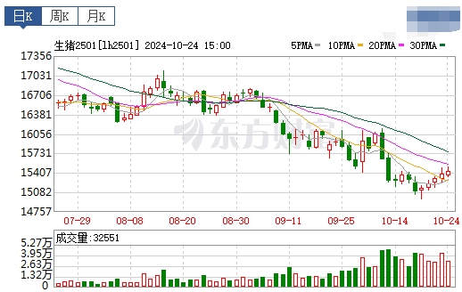 今日猪价 | 2024.10.25 猪价行情——涨跌互现