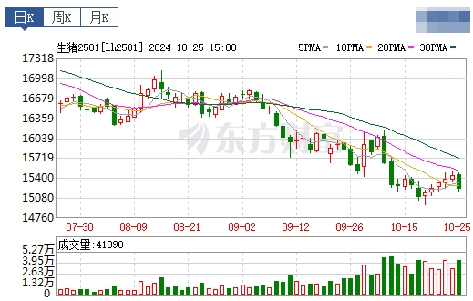 今日猪价 | 2024.10.26 猪价行情——稳中带涨
