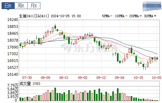 今日猪价 | 2024.10.26 猪价行情——稳中带涨