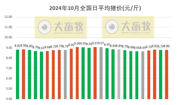 今日猪价 | 2024.10.26 猪价行情——稳中带涨
