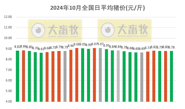 今日猪价 | 2024.10.27 猪价行情——稳中有跌