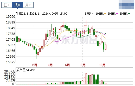 今日猪价 | 2024.10.27 猪价行情——稳中有跌