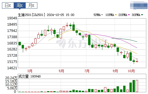 今日猪价 | 2024.10.27 猪价行情——稳中有跌
