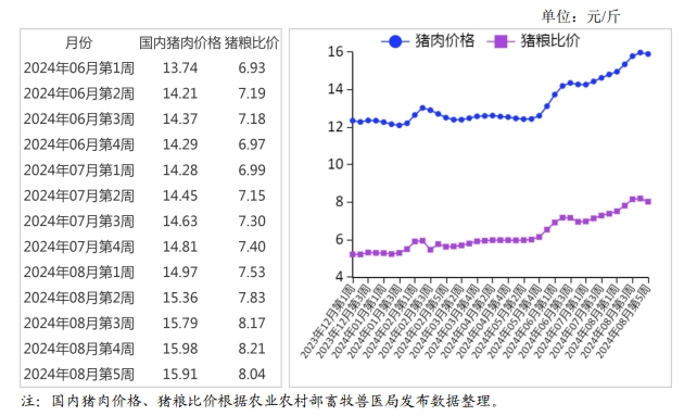 2024年8月国内和国际猪肉市场行情分析——猪肉价格持续上涨