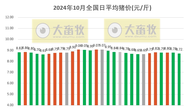 今日猪价 | 2024.10.28 猪价行情——绝大部分出现下跌