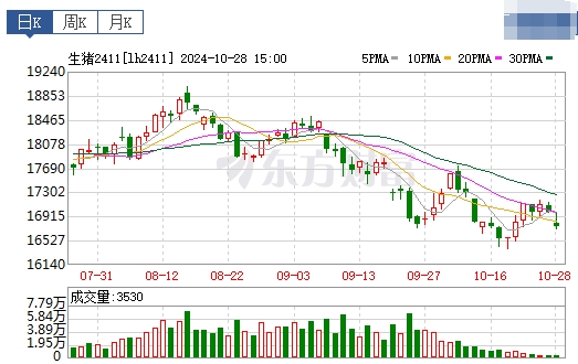 今日猪价 | 2024.10.29 猪价行情——下跌幅度收窄