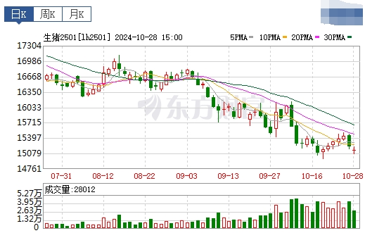 今日猪价 | 2024.10.29 猪价行情——下跌幅度收窄
