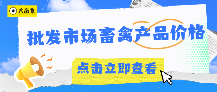 2025年10月全国批发市场的鸡猪牛羊肉价格情况