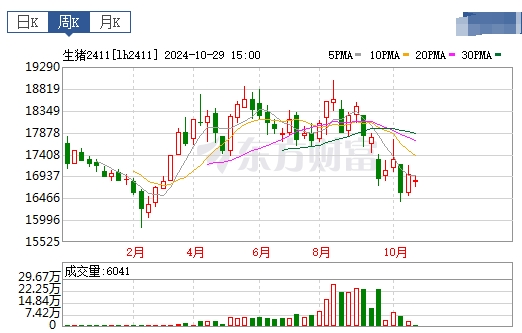 今日猪价 | 2024.10.30 猪价行情——一路飘绿,跌至近5个月最低价