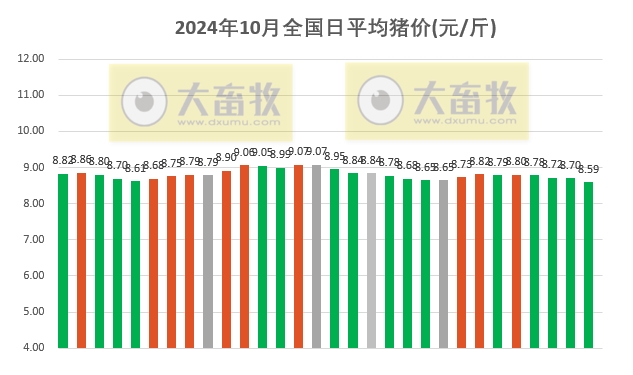 今日猪价 | 2024.10.30 猪价行情——一路飘绿,跌至近5个月最低价