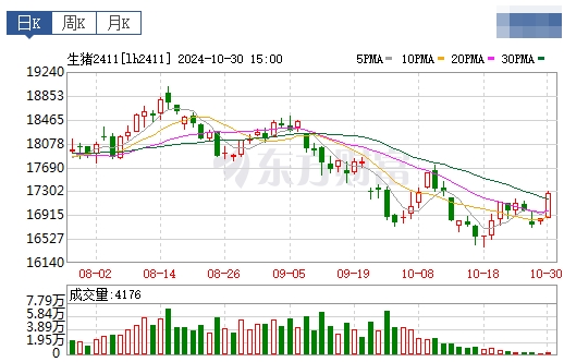 今日猪价 | 2024.10.31 猪价行情——涨跌互现
