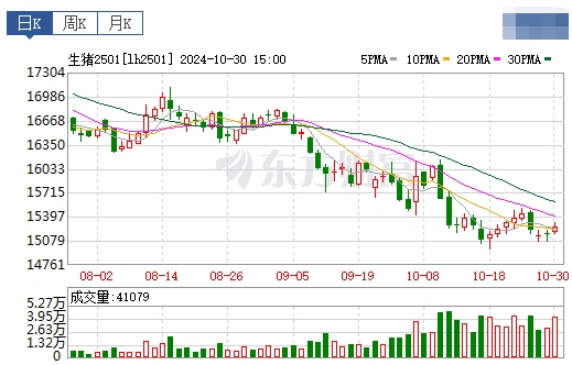 今日猪价 | 2024.10.31 猪价行情——涨跌互现