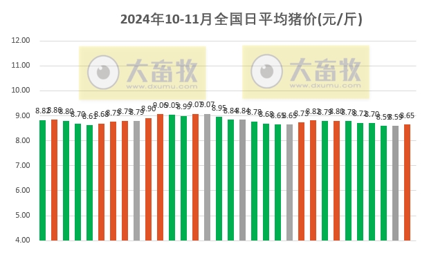 今日猪价 | 2024.11.01 猪价行情——11月迎来开门红,一路上涨