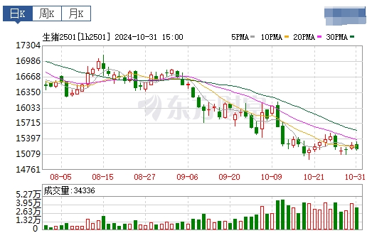 今日猪价 | 2024.11.01 猪价行情——11月迎来开门红,一路上涨