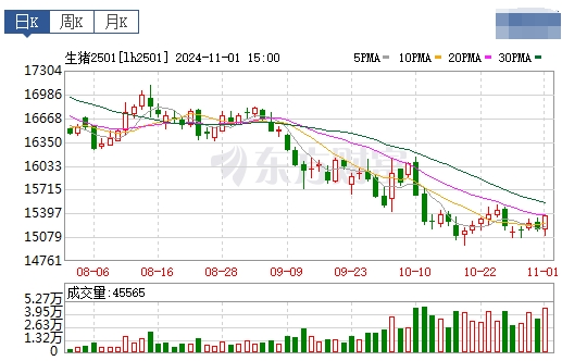 今日猪价 | 2024.11.02 猪价行情——大多数继续上涨