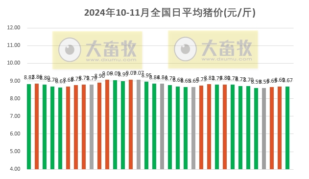 今日猪价 | 2024.11.03 猪价行情——涨跌互现
