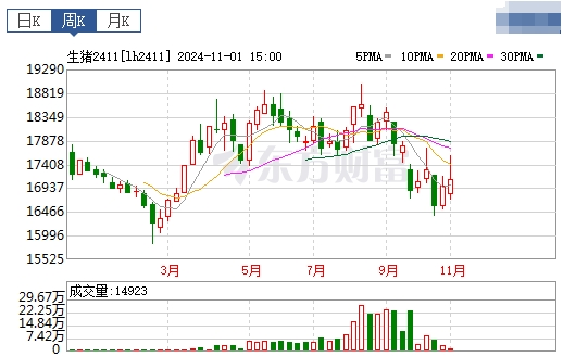 今日猪价 | 2024.11.03 猪价行情——涨跌互现