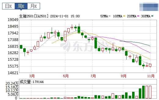 今日猪价 | 2024.11.03 猪价行情——涨跌互现