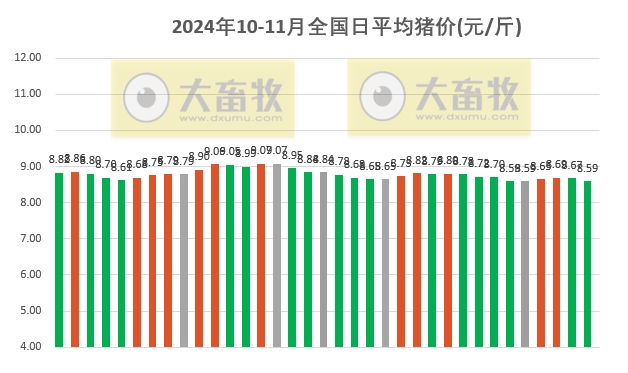 今日猪价 | 2024.11.04 猪价行情——大多数出现下跌