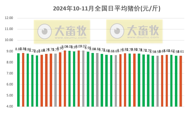 今日猪价 | 2024.11.05 猪价行情——稳中有涨，下跌省份大幅减少