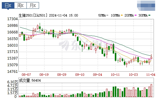 今日猪价 | 2024.11.05 猪价行情——稳中有涨，下跌省份大幅减少