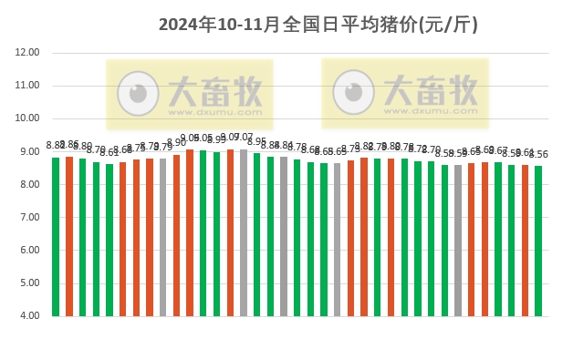 今日猪价 | 2024.11.06 猪价行情——下跌至近5个多月最低