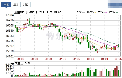 今日猪价 | 2024.11.06 猪价行情——下跌至近5个多月最低