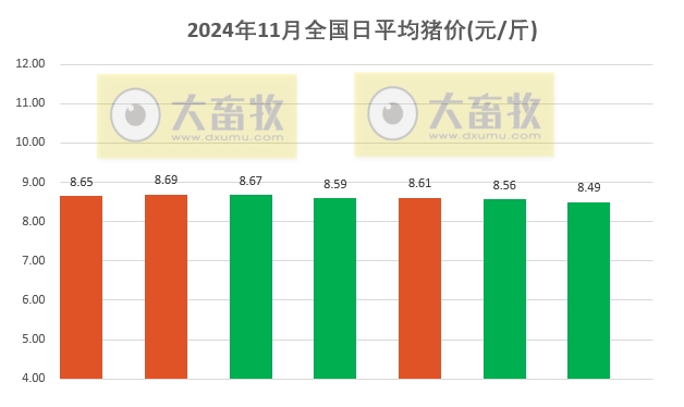今日猪价 | 2024.11.07 猪价行情——大多数继续下跌