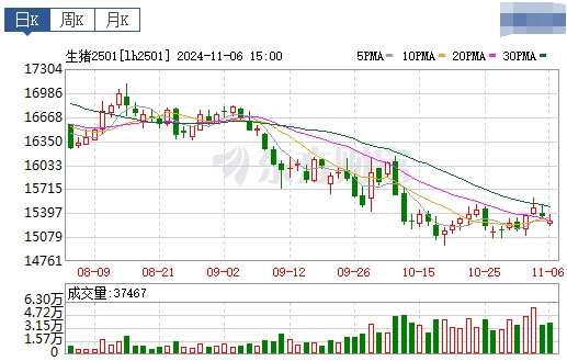 今日猪价 | 2024.11.07 猪价行情——大多数继续下跌