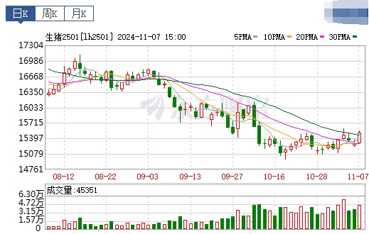 今日猪价 | 2024.11.08 猪价行情——一片绿油油的，下跌幅度扩大