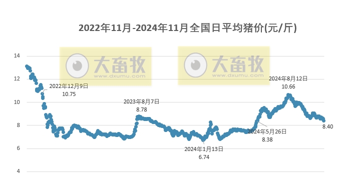 今日猪价 | 2024.11.08 猪价行情——一片绿油油的，下跌幅度扩大