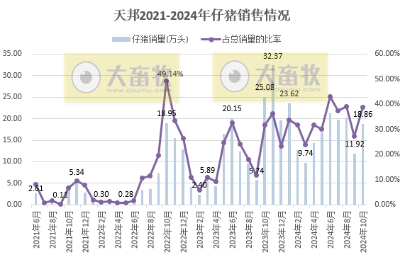 天邦食品2024年10月生猪销售及前三季度业绩情况