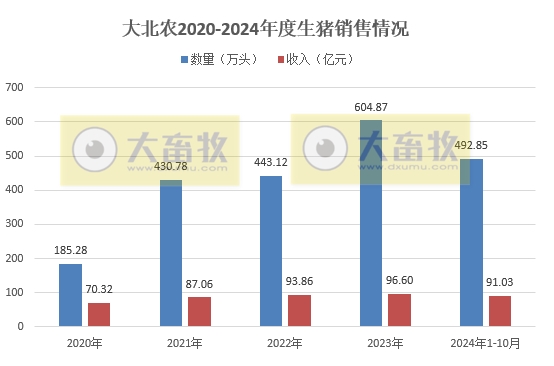 大北农2024年10月生猪销售及前三季度业绩情况