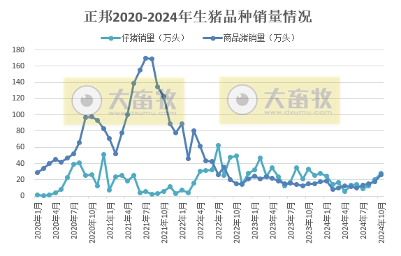 正邦科技2024年10月生猪销售及前三季度公司业绩情况