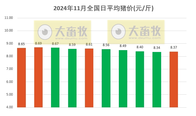 今日猪价 | 2024.11.10 猪价行情——大多数止跌反弹