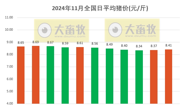 今日猪价 | 2024.11.11 猪价行情——大多数继续上涨